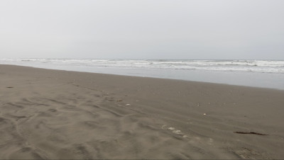 img 20251011 061850